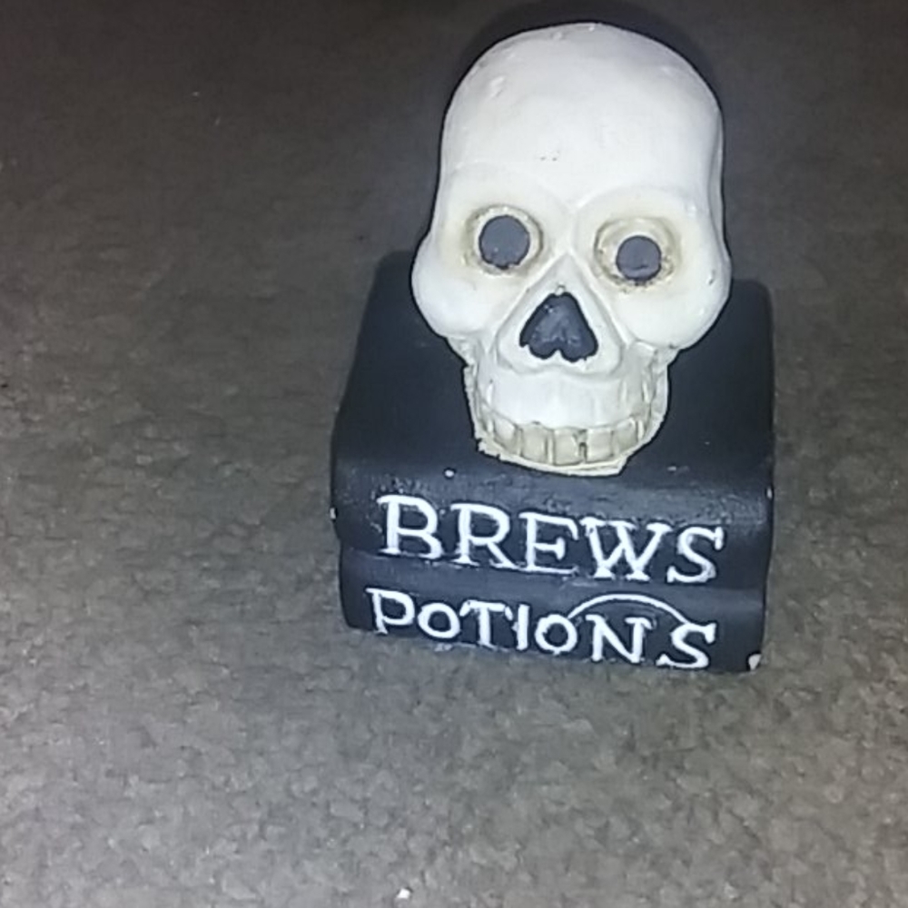 💀 NWOT Skull and books decor